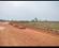 Patrapada Plot View 2