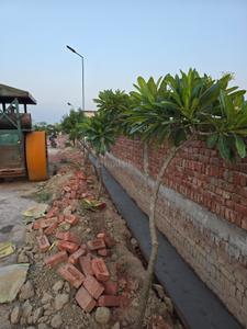Jait Plot View 2