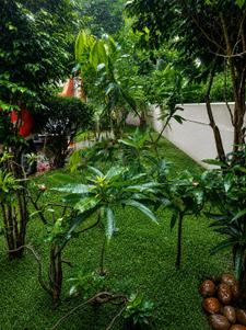 Image of 6500 Sq.ft 6 BHK Independent House for sale in Chetpet, Chennai for Rs. 300000000