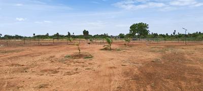 Image of 11104 Sq.ft Residential Plot / Land for sale in Sooriyur, Tiruchirappalli for Rs. 1765377