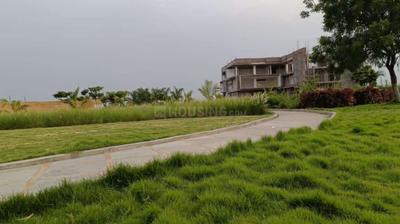 Silpa The Grove Plot View 2