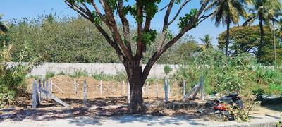 Vijayashree Layout Plot View 2