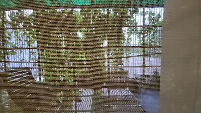 Bedroom Image of 5500 Sq.ft 6 BHK Duplex for sale in Punjabi Bagh New Delhi for Rs. 98000000