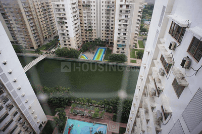 Image of 6160 Sq.ft 5 BHK Penthouse for sale in Adani Water Lily, Shantigram, Ahmedabad for Rs. 47500000