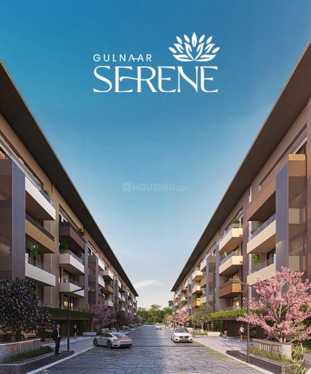 Gulnaar Serene Main Image 1