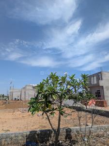 Image of 1000 Sq.ft Residential Plot / Land for sale in Jaisinghpura, Jaipur for Rs. 5000000