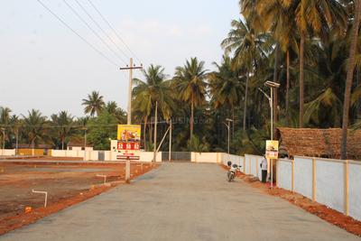 Residential Plot