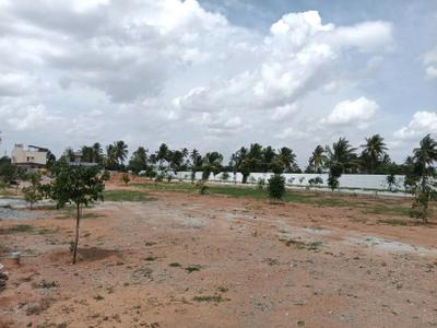 Image of 2000 Sq.ft Residential Plot / Land for sale in Hoskote, Bengaluru for Rs. 13400013
