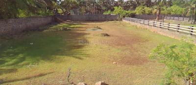 Muttukadu Plot View 1