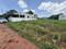 Malumichampatty Plot View 2