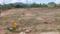 Sujatha Nagar Main Image 1