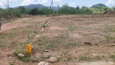 Sujatha Nagar Plot View 1
