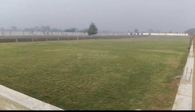 M2K Olive Greens Plot View 2