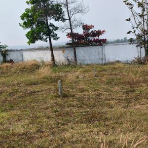 Image of 3750 Sq.ft Residential Plot / Land for sale in Kalinga Nagar, Bhubaneswar for Rs. 41250000