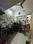 Gumasta Nagar, Scheme No 71 Kitchen 1
