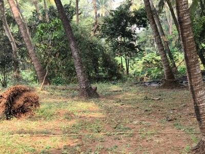Image of 40000 Sq.ft Residential Plot / Land for sale in Bagmala, Alibag for Rs. 40000000