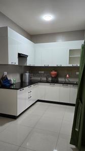 Kitchen Image of 1000 Sq.ft 2 BHK Apartment / Flat for rent in Sobha Dream Heights, Gujarat International Finance Tec City Gandhinagar for Rs. 37000
