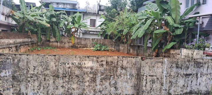 Vanguard Main Image 1