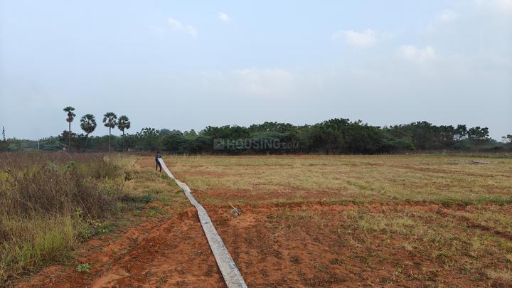 Survey 324 Main Image 1