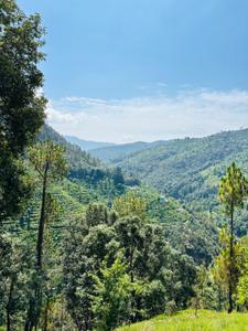 Image of 600 Sq.ft Residential Plot / Land for sale in Nathuakhan, Nainital for Rs. 6000000