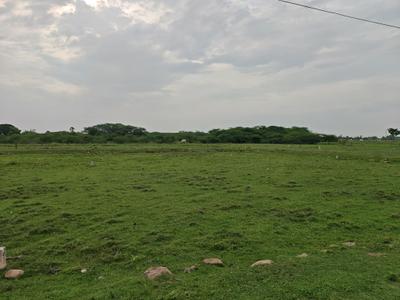 Image of 570 Sq.ft Residential Plot / Land for sale in Chengalpattu, Chennai for Rs. 854430