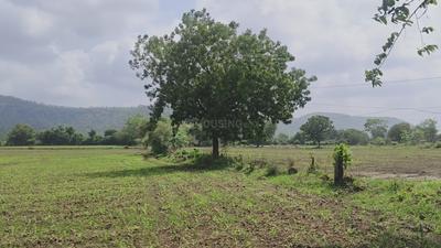 Image of 5200 Sq.ft 1 BHK Farm House for sale in Simrol, Indore for Rs. 1560000