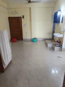Hall Image of 750 Sq.ft 2 BHK Apartment / Flat for rent in Kalyani Nadia for Rs. 11000