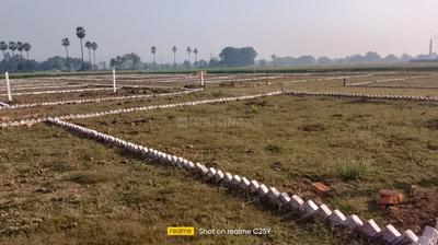 Bihta Plot View 2