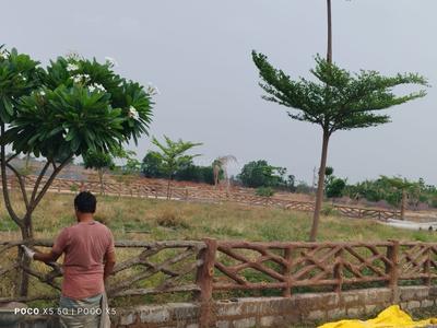 Image of 1250 Sq.ft Residential Plot / Land for sale in Naya Raipur, Raipur for Rs. 1680000