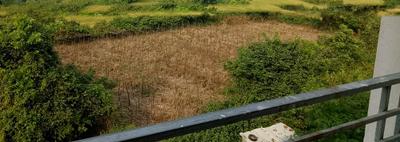 Balcony Image of 750 Sq.ft 2 BHK Apartment / Flat for sale in Pen Raigad for Rs. 3999999
