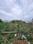 Bhatagaon Plot View 2