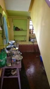 Kitchen Image of 1620 Sq.ft 3 BHK Independent House for sale in Khagragorh Bardhaman for Rs. 6200000