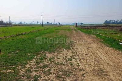 Image of 1485 Sq.ft Residential Plot / Land for sale in ASM Shree Jaswant Garden, Sector 14, Panchkula for Rs. 11883000