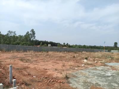 Residential Plot