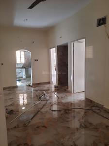 Hall Image of 600 Sq.ft 2 BHK Apartment / Flat for rent in Janapriya Heavens, Allalasandra Bengaluru for Rs. 20000