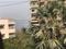 Bombay Dyeing Compound Main Image 1