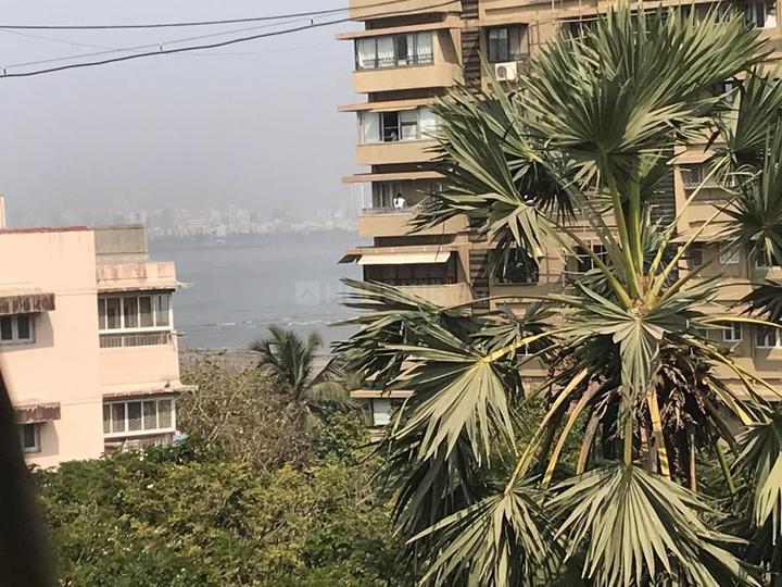 Bombay Dyeing Compound Main Image 1