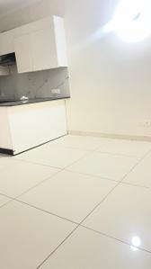 Hall Image of 765 Sq.ft 2 BHK Apartment / Flat for rent in Gillco Palms, Sector 115 Mohali for Rs. 18000