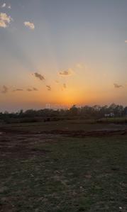 Phulsani Plot View 2