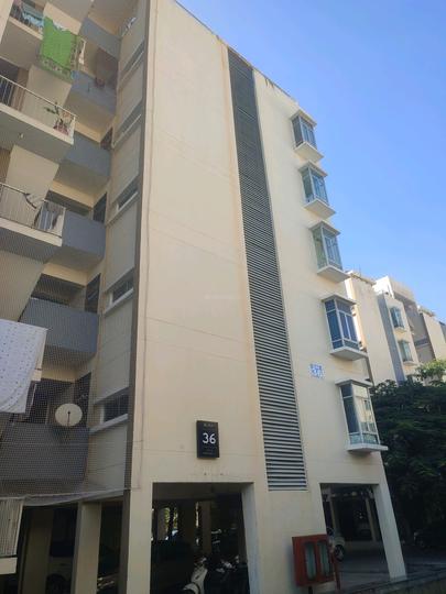 rain tree park Main Image 1