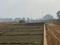 Bihta Main Image 1