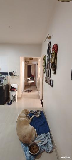 Vilas Palash 2i Main Image 1