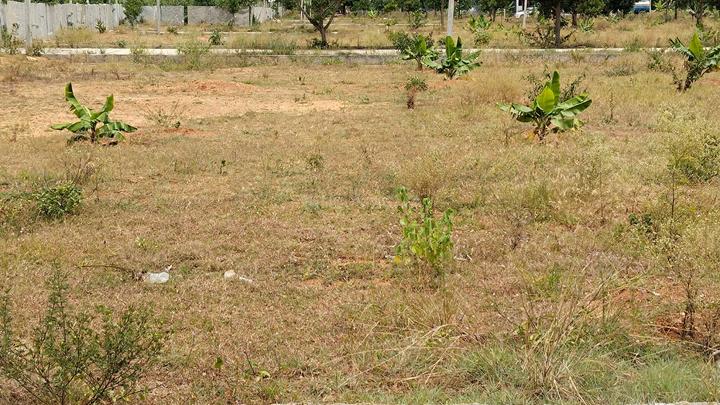 Maruthi Extension, Malur Main Image 1