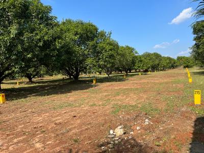 Image of 1800 Sq.ft Residential Plot / Land for sale in Bondapalli, Vizianagaram for Rs. 919800