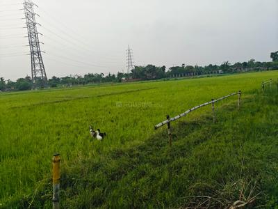 Sonarpur Plot View 1