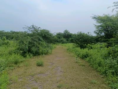 Image of 64 Sq.ft Residential Plot / Land for sale in Sector 36 Rohini, New Delhi for Rs. 14000000