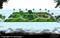 Jhalaria near phoenix citadel Mall Main Image 1