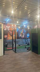 Image of Halcyon nest colive  in Carmelaram, Bangalore