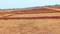 Jagannath New Colony Main Image 1