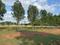 Kothavalasa Plot View 2
